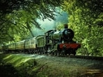 These scenic Indian train routes promise unforgettable views. These scenic Indian train routes promise unforgettable views.