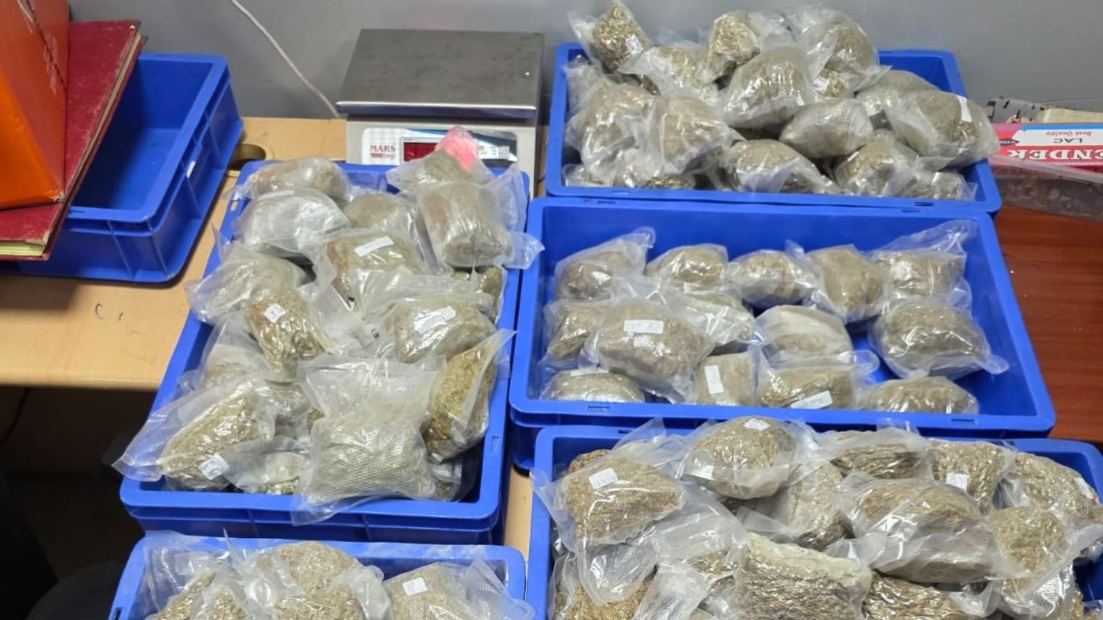 ₹5.38 crore-worth hydroponic weed, concealed in geysers, seized at Delhi airport | India News