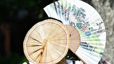 Gram it: Fans don't just provide cool air but also come in handy to protect oneself. As the temperature in the Capital rose to 43 degrees Celsius on Wednesday, here's how a woman used not one but two hand fans to guard herself from the scorching sun. (Photo: Hemant Rawat/ANI)