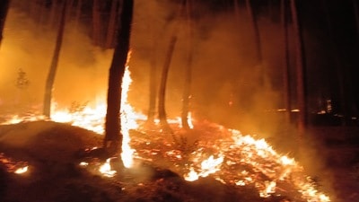 It took 5 hours to douse the fire. (HT Photo)