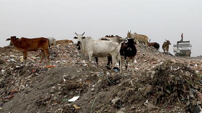 Residents living near existing waste-to-energy plants said the expansion has heightened concerns about the cumulative environmental impact of additional waste incineration capacity in the area. (HT Archive)