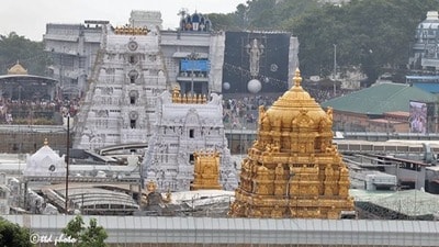 శ్రీవారి ఆలయం శ్రీవారి ఆలయం