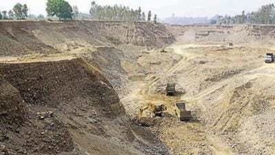 The representation said that a proposal to divert 75 hectares of the Babarkot Reserve Forest near Rajula under the Forest Conservation Act (FCA) for mining purposes poses a threat to more than 50 lions