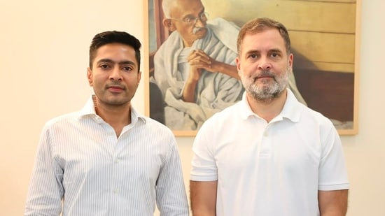 TMC general secretary Abhishek Banerjee met Congress leader Rahul Gandhi on Wednesday in Delhi.