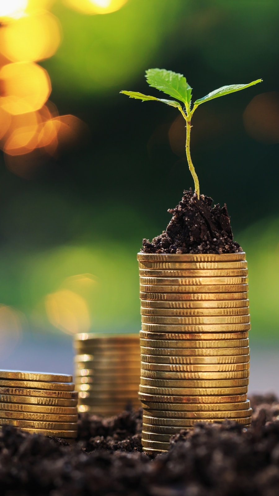 Economy (Shutterstock)