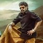 బాలకృష్ణ బర్త్ డే.. 60 దాటినా తగ్గని సింహ గర్జన! బాక్సాఫీస్ రాంపేజ్ వెనుక అసలు సీక్రెట్ ఏంటి? 