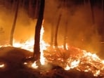 It took 5 hours to douse the fire. (HT Photo)