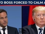 NATO Secretary General Mark Rutte has moved to reassure European allies amid growing concerns about the future of the transatlantic alliance under President Donald Trump. NATO Secretary General Mark Rutte has moved to reassure European allies amid growing concerns about the future of the transatlantic alliance under President Donald Trump.