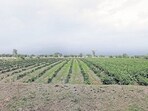 According to the Pune district administration, land acquisition for the greenfield airport project has made significant progress, with 851 hectares of the required 1,216 hectares already acquired. (REPRESENTATIVE PHOTO)