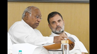 A Congress leader said to ascertain the ground reality and what needs to be done for course correction, AICC president Malikarjun Khadge and leader of opposition Rahul Gandhi have decided to send three observers, who will submit a report by next week. (Hindustan Times)
