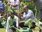 According to Delhi environment minister Manjinder Singh Sirsa, the state forest department will launch a portal by June end, which will provide ward-wise details of plantation sites. (HT Archive)