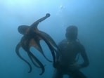 An octopus spotted in the deep seas off Tuticorin, in a still from the video posted by Thoothukudi Meenavan.