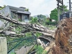 An uprooted tree and a damaged electricity transformer after Thursday’s storm in Ludhiana. (Gurpreet Singh/HT) An uprooted tree and a damaged electricity transformer after Thursday’s storm in Ludhiana. (Gurpreet Singh/HT)