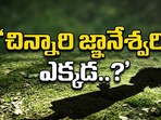Kakinada Jahnavi Missing Case (Gemini AI Image)