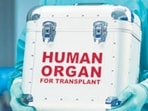 Through the ZTCC, Pune, the child’s kidneys and liver were allocated to two paediatric recipients at RHC and Manipal Hospital, Baner. Both transplant surgeries were carried out successfully. (REPRESENTATIVE PHOTO)