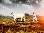 రైతులకు వ్యవసాయ శాఖ సూచనలు