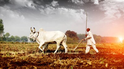 రైతులకు వ్యవసాయ శాఖ సూచనలు రైతులకు వ్యవసాయ శాఖ సూచనలు