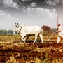 రైతులకు వ్యవసాయ శాఖ సూచనలు