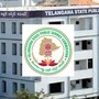 డీఈవో రిక్రూట్‌మెంట్ అప్డేట్ 