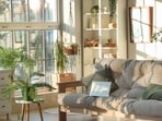 Sustainable Living 
