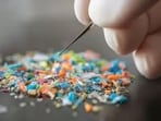 Plastic is no longer only an environmental problem. It is found inside us.