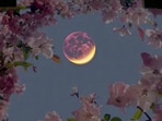 Super Moon 2026: Setting intentions by zodiac signs for the June New Moon
