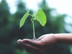 Sustainable living