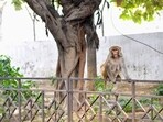 (Representative image) Residents claim authorities have failed to provide a permanent solution despite complaints over the past two months (HT Archive)