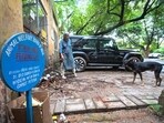 A designated feeding spot for stray dogs at Sector D , Vasant Kunj in New Delhi. (HT Archive)