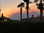 Smoke seen in Palm Springs from Shore Fire.