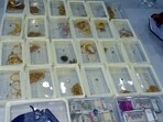 According to police, the 24-year-old suspect, who joined the showroom as a salesman about a month ago, had allegedly planned to steal the jewellery for leading a luxurious life with his woman friend, aged 23. (Sakib Ali/HT Photo)