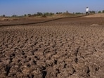 Land degradation and climate change pose an enormous risk to food security. Land degradation and climate change pose an enormous risk to food security.