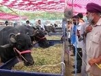 These fairs operate under the Punjab Cattle Fairs (Regulation) Act, 1967, and serve as key livestock trading centres for farmers, livestock owners and traders from different parts of the state. These fairs operate under the Punjab Cattle Fairs (Regulation) Act, 1967, and serve as key livestock trading centres for farmers, livestock owners and traders from different parts of the state.