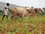 పీఎం కిసాన్ నిధులపై అప్డేట్