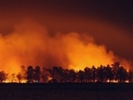 A vegetation fire was reported in Sparks, Nevada. Image for representational purposes.