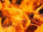 A fast-moving wildfire has burned nearly 300 acres of Beacon Hill in Spokane.