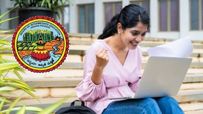 ఏపీ ఇంటర్ సప్లిమెంటరీ ఫలితాలు ఏపీ ఇంటర్ సప్లిమెంటరీ ఫలితాలు