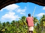 Launched in 2011, the Bonn Challenge is a voluntary global restoration pledge. (Image sourced from Getty)