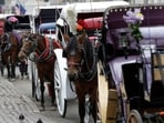 File: Horses and carriages wait for customers near Central Park in New York. 