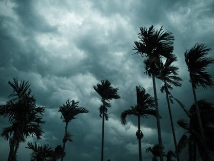నైరుతి రుతుపవనాలు