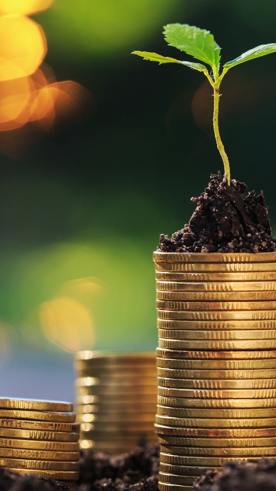 Economy (Shutterstock)
