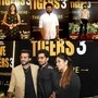 సేవ్ ది టైగర్స్ సీజన్ 3 ఓటీటీ ప్రీమియర్ గ్రాండ్ సక్సెస్- బిగ్ బాస్, జబర్దస్త్, సీరియల్స్, హీరో హీరోయిన్లతో సందడి!

