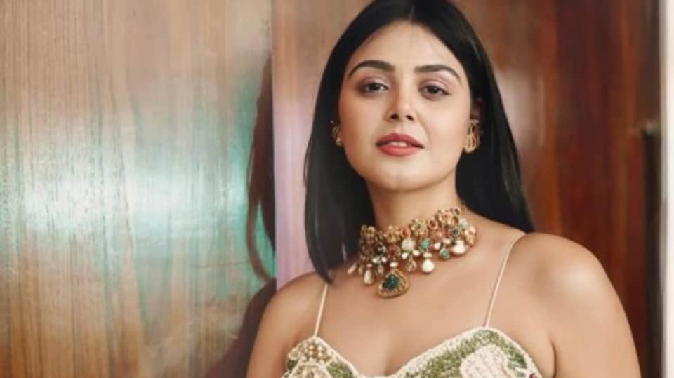 <p>తెలుగు ఆడియన్స్ కు మోనాల్ గజ్జర్ పేరు సుపరిచితమే. టాలీవుడ్ సినిమాలతో పాటు తెలుగు బిగ్ బాస్ లోనూ ఈ గుజరాతీ భామ ఎంటర్ టైన్ చేసింది.</p>(instagram-Monaal Gajjar)