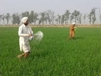 Food security cannot be compromised, yet continuing down the path of fertiliser import dependence is neither fiscally sustainable nor strategically prudent. (Representational photo)