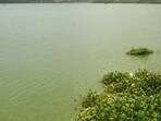 Powai lake (Prashant Waydande)