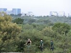 The Aravallis in Gurugram. (HT Archive)