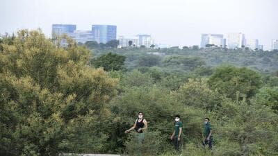 The Aravallis in Gurugram. (HT Archive) The Aravallis in Gurugram. (HT Archive)
