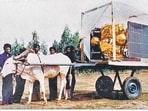 A bullock cart was used during the testing of APPLE’s antenna prior to the launch.