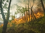 A vegetation fire dubbed Pocket Fire was reported north of Sedona in Arizona. Image for representational purposes.