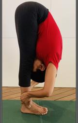 Practitioners must clearly understand what needs to be done, when it should be done, and how it should be done. Rather than criticising an asana itself, we must scrutinise the manner in which it is practised and taught. (Iyengar Yoga Yogakshema, Delhi NCR) Practitioners must clearly understand what needs to be done, when it should be done, and how it should be done. Rather than criticising an asana itself, we must scrutinise the manner in which it is practised and taught. (Iyengar Yoga Yogakshema, Delhi NCR)